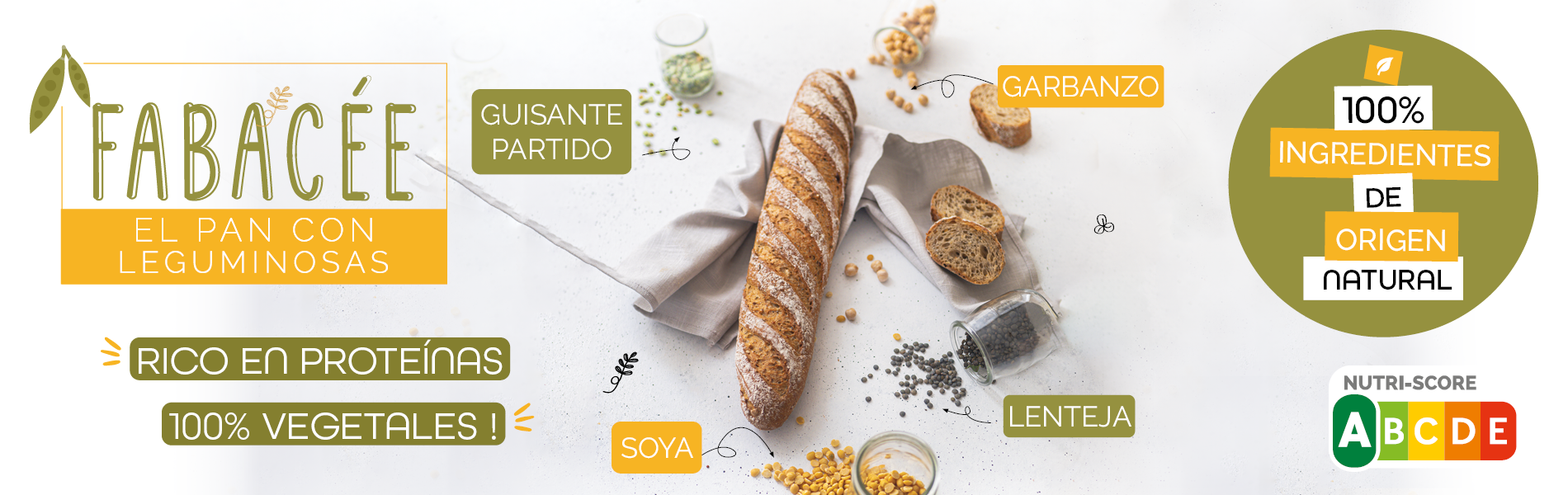 Fabacée ES